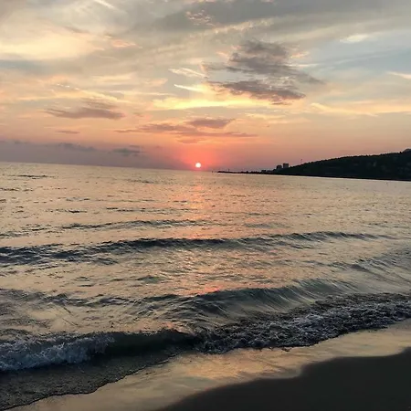 Kimza * Lezhë